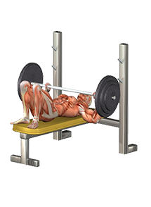 One_rep_max_Tool_preview